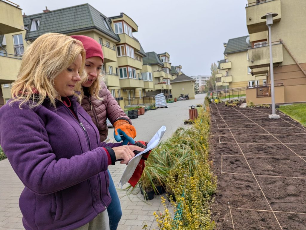 profesjonalny projektant ogrodów