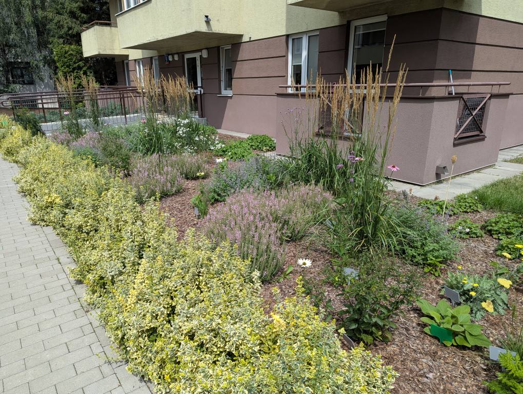 projekt zieleni osiedlowej Warszawa