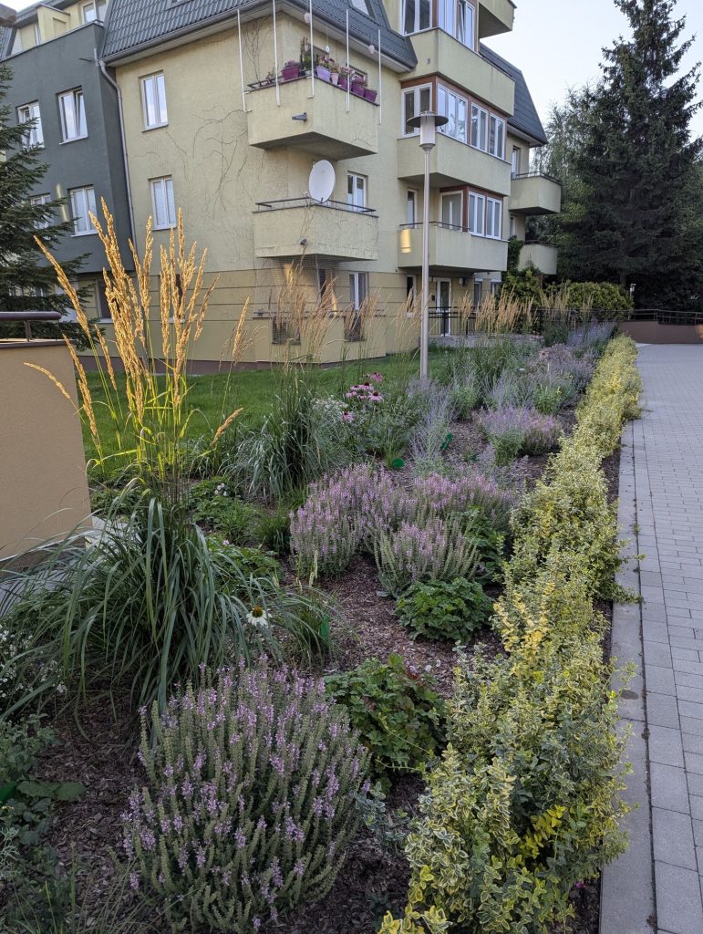 projekt zieleni osiedlowej Warszawa