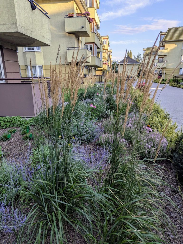 projekt zieleni osiedlowej Warszawa